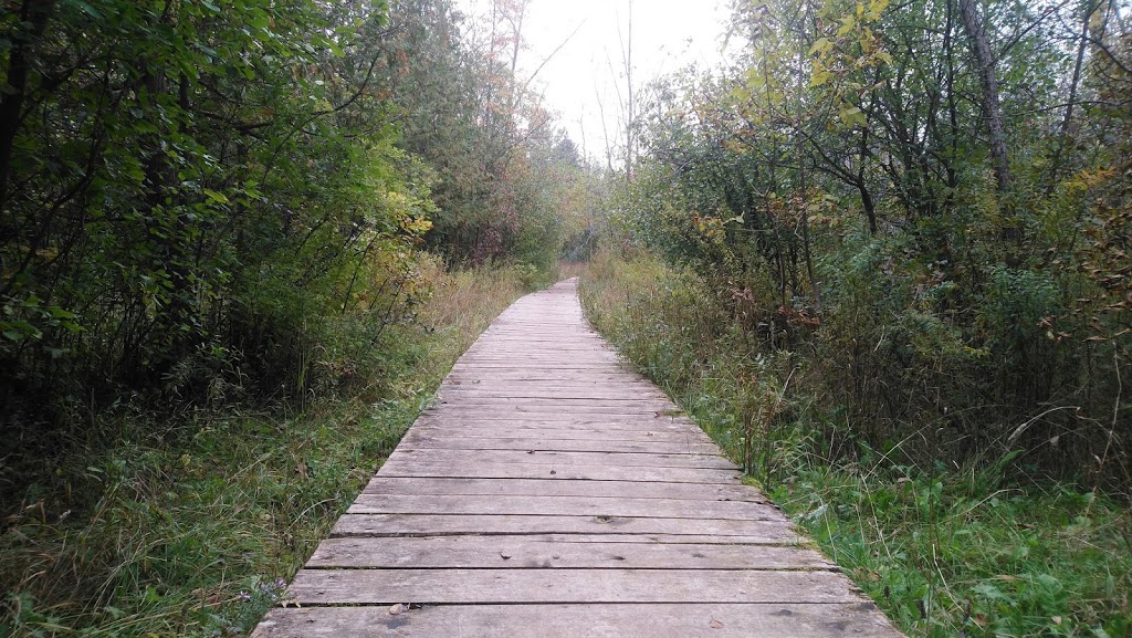 Stony Swamp | 4897 Old Richmond Rd, Nepean, ON K2R 1G8, Canada