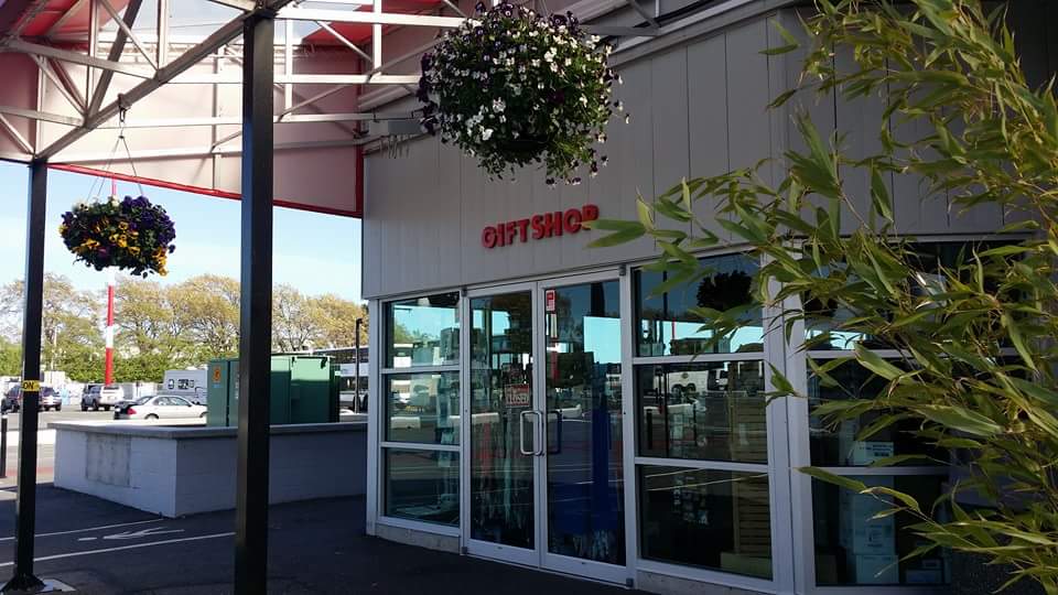 Beaver Gift Shop | 185 Dallas Rd, Victoria, BC V8V 1A1, Canada | Phone: (250) 383-1985