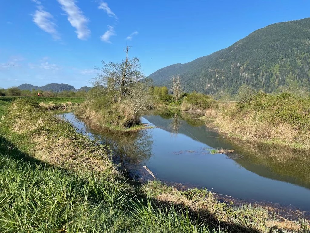 Pitt Meadows Paddling Club | 14411 Harris Rd, Pitt Meadows, BC V3Y 2T2, Canada | Phone: (778) 847-7672