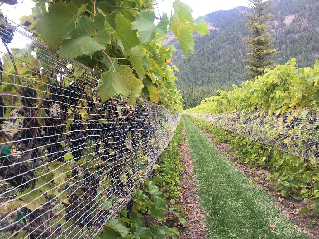 Sunnybrae Vineyards & Winery | 3849 Sunnybrae-Canoe Point Rd, Tappen, BC V0E 2X1, Canada | Phone: (250) 835-8373