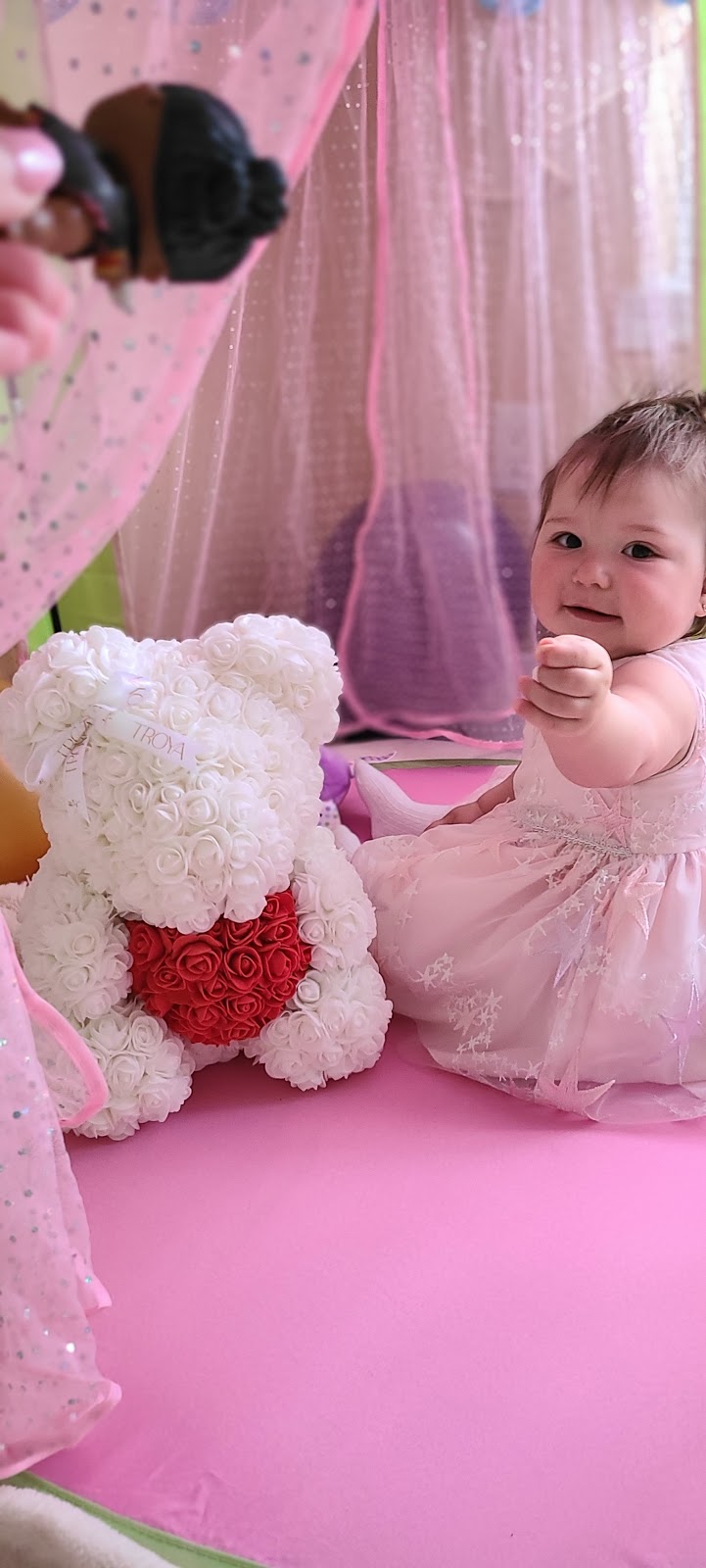 Forever Roses | 1734 Coram Crescent, Mississauga, ON L4X 1K9, Canada | Phone: (416) 909-0713