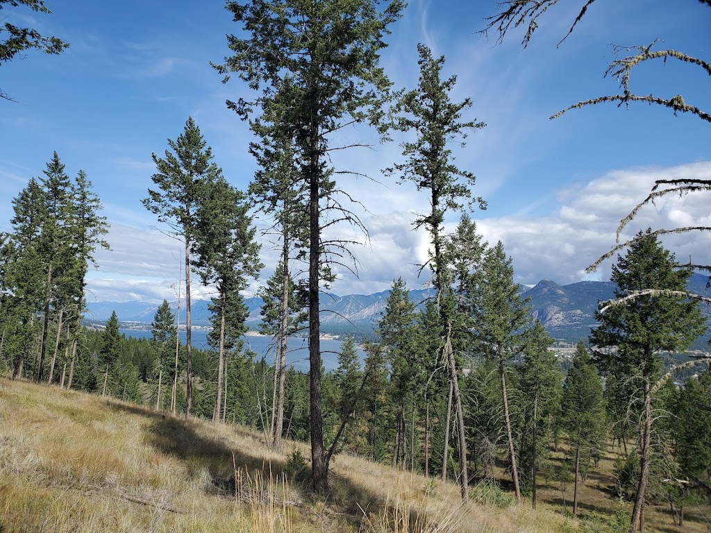 Markin-MacPhail Westside Legacy Trail North Kiosk | Westside Rd, Invermere, BC V0A 1K6, Canada | Phone: (250) 341-7757