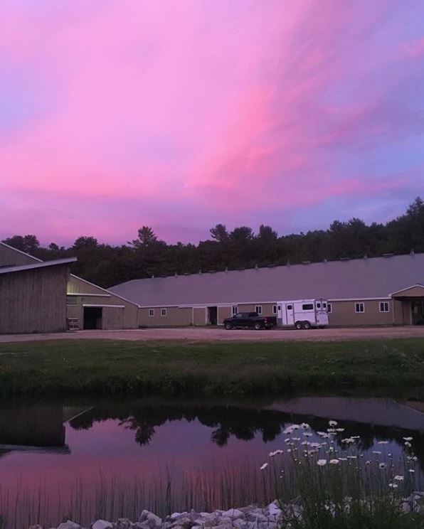 Querencia Stables | 1992 Sandhill Rd, Waubaushene, ON L0K 2C0, Canada | Phone: (705) 970-0001