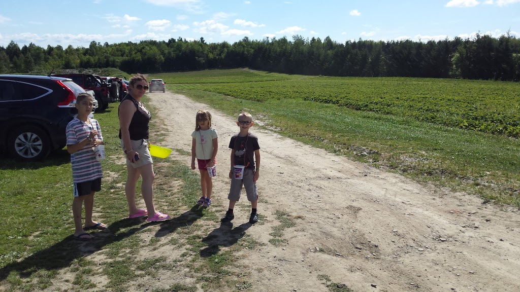 Ferme St-Élie | 2073 Chemin Dion, Sherbrooke, QC J1R 0R8, Canada | Phone: (819) 829-3917