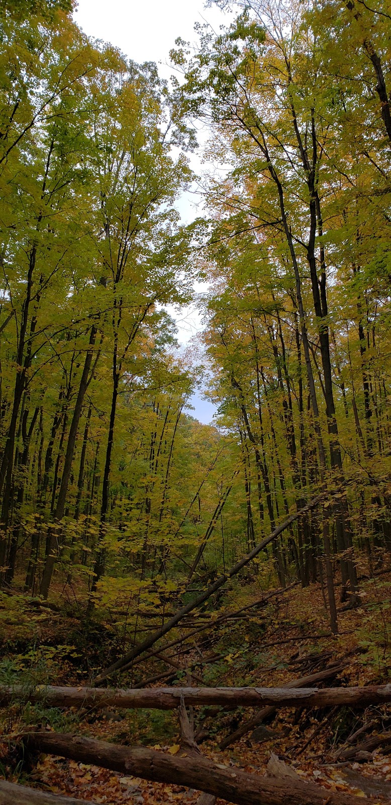 Sheppard Quarry | Flamborough, Hamilton, ON L9H 7K6, Canada