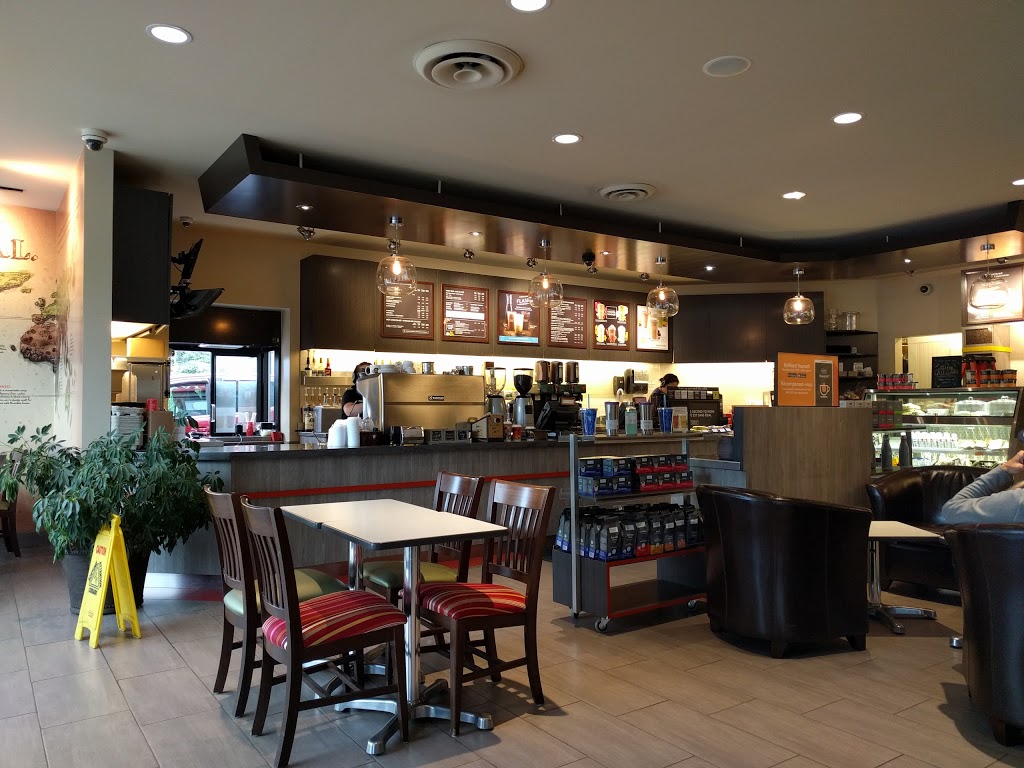 Second Cup Coffee Co. | 284 Main St, Shediac, NB E4P 2E3, Canada | Phone: (506) 351-0122