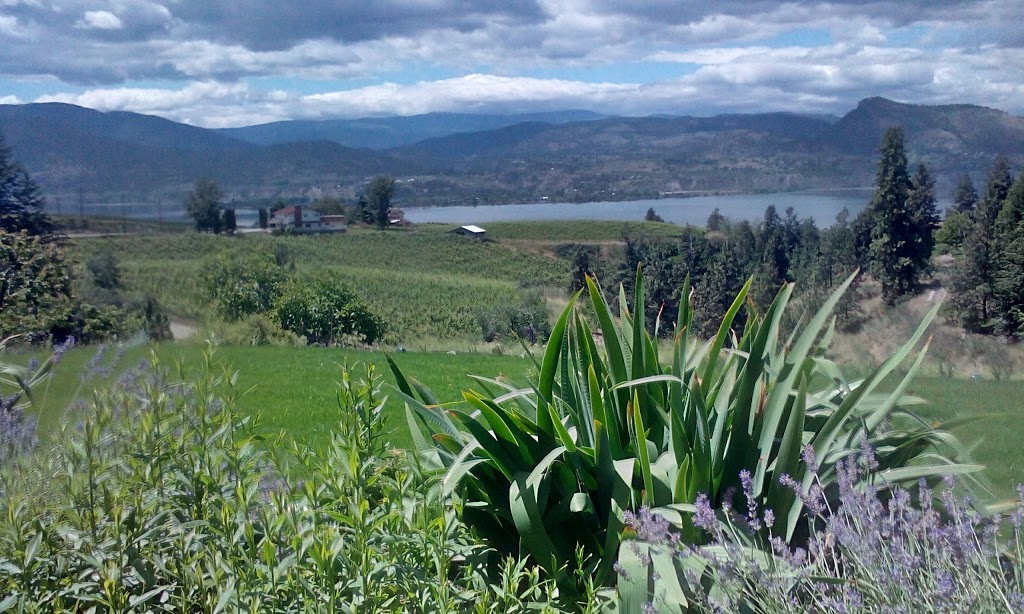 Legend Distilling Inc. | 3005 Naramata Rd, Naramata, BC V0H 1N0, Canada | Phone: (778) 514-1010