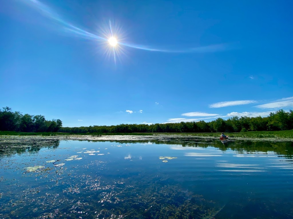 Free Spirit Tours | 1888 Klondike Park Rd, Wasaga Beach, ON L9Z 2A9, Canada | Phone: (705) 606-0867