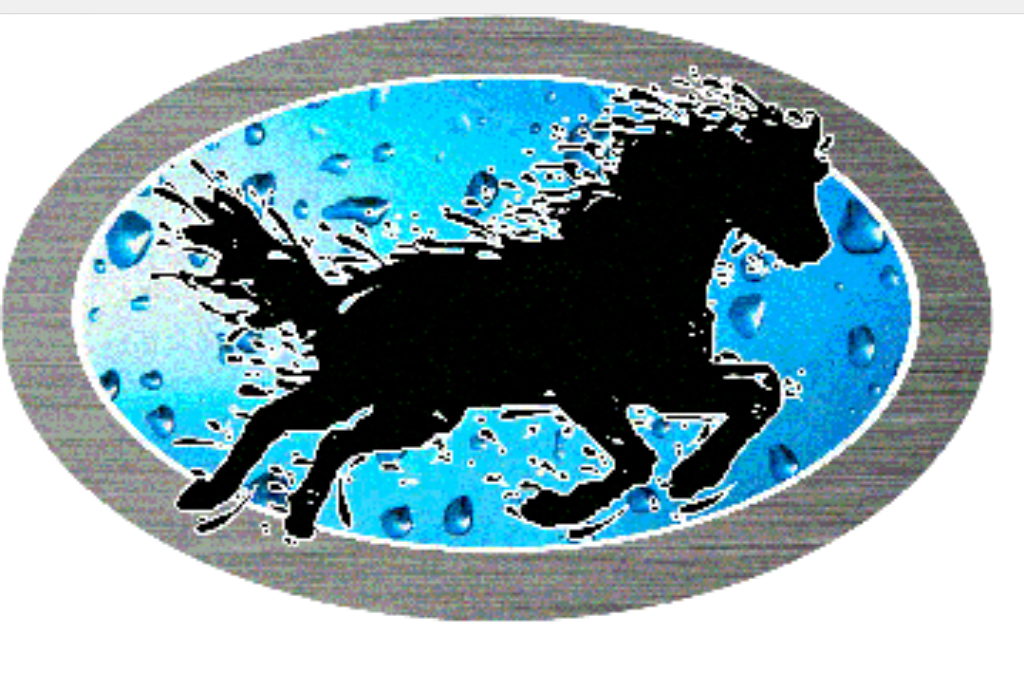 Top Horse Blanket Cleaning & Repair | 14072 Hurontario St, Inglewood, ON L7C 2C1, Canada | Phone: (519) 938-9941