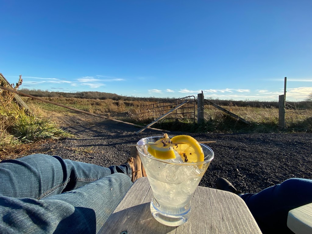 Bare Bones Distillery | 719 Closson Rd, Hillier, ON K0K 2J0, Canada | Phone: (647) 534-3115