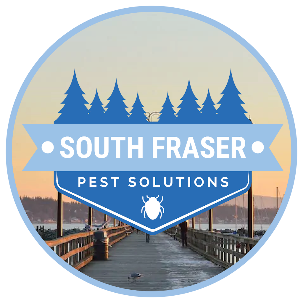 South Fraser Pest Solutions | 14877 58 Ave #81, Surrey, BC V3S 8Y9, Canada | Phone: (604) 716-2049