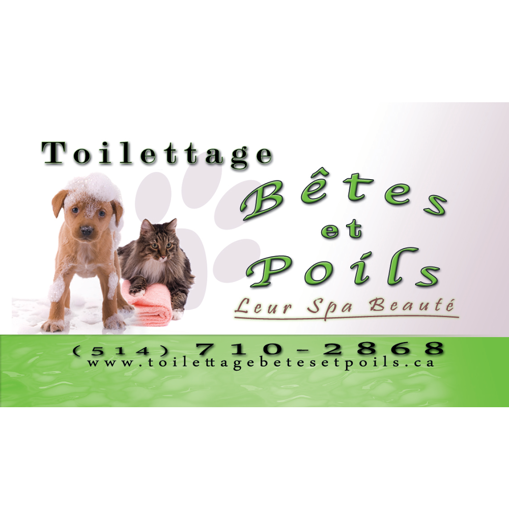 Toilettage Betes et Poils | 53 Rue St Pierre Local 101, Saint-Constant, QC J5A 1B9, Canada | Phone: (514) 710-2868