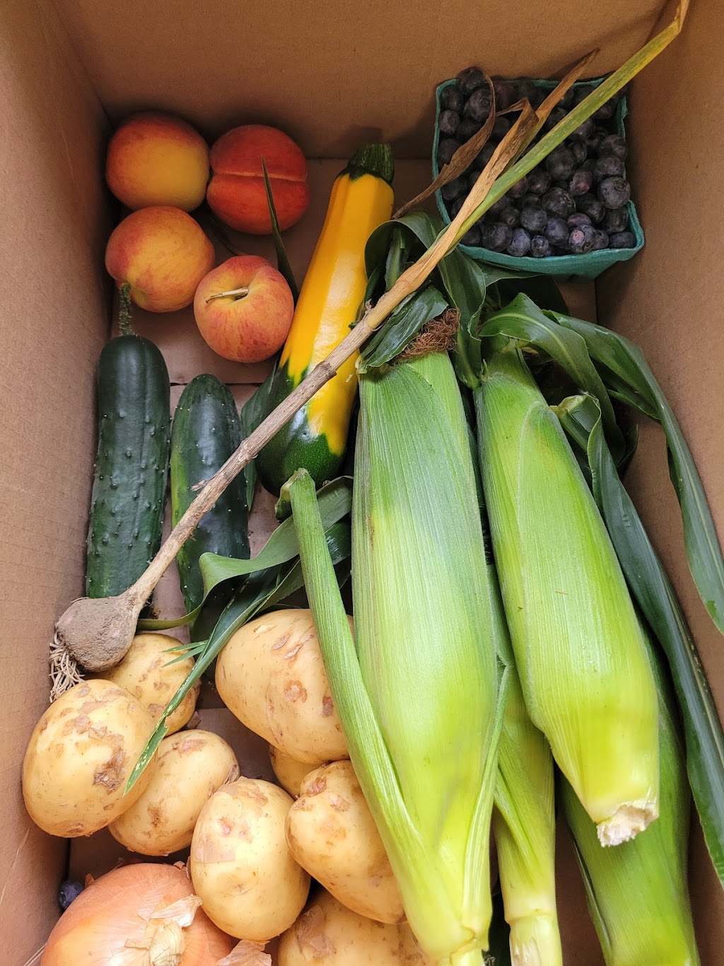 Simpson Family Farms | 15152 ON-48, Whitchurch-Stouffville, ON L4A 7X3, Canada | Phone: (905) 640-2657