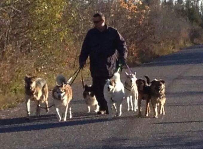Just Like Home Dog Care Centre | 197 Barnes Rd, Cramahe, ON K0K 1H0, Canada | Phone: (613) 243-7237