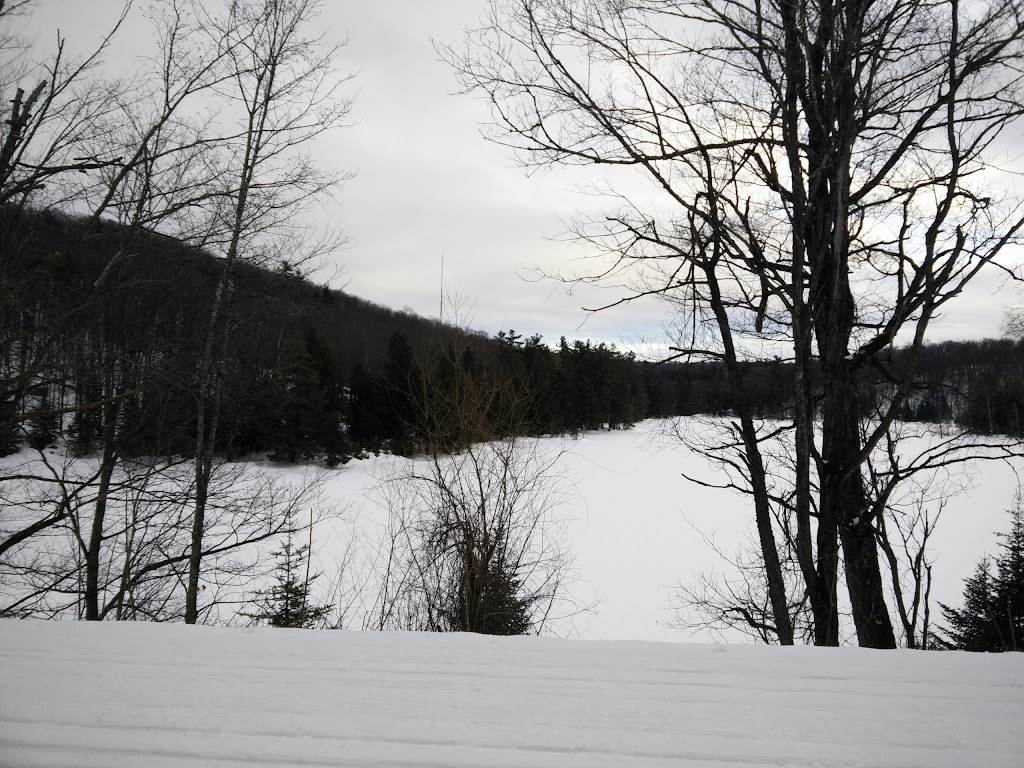 Fortune Lake - Prom. du Lac-Fortune, Chelsea, QC J9B 2N3, Canada