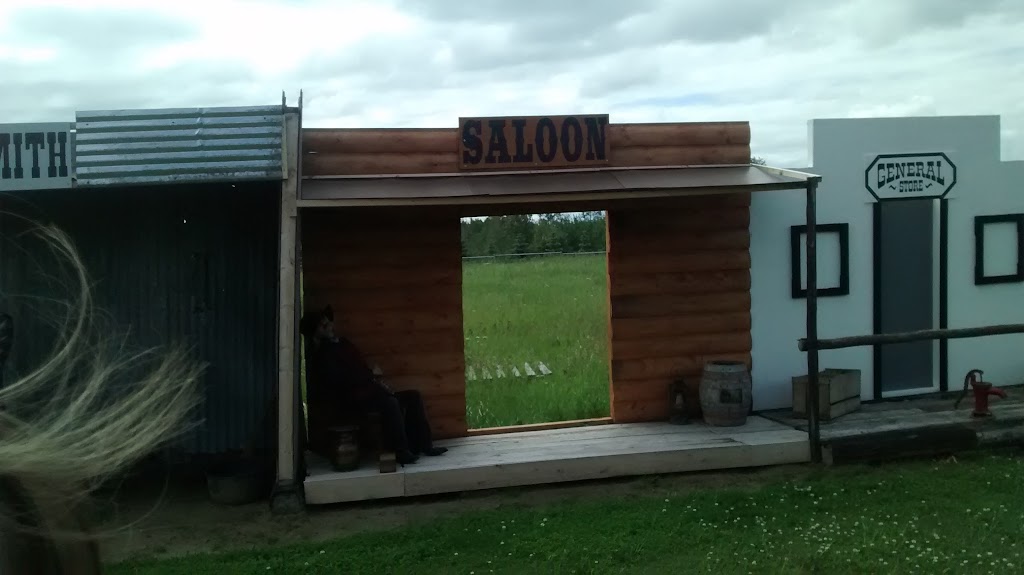 Country Fun | Prince Albert No. 461, SK S0J 3H0, Canada | Phone: (306) 763-3439