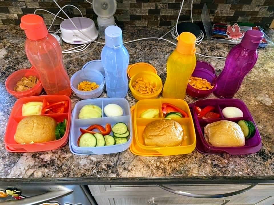 Tupperware Genevieve Corriveau | 707 Rue Albert Beaulieu, Joliette, QC J6E 1Y4, Canada | Phone: (450) 757-1888