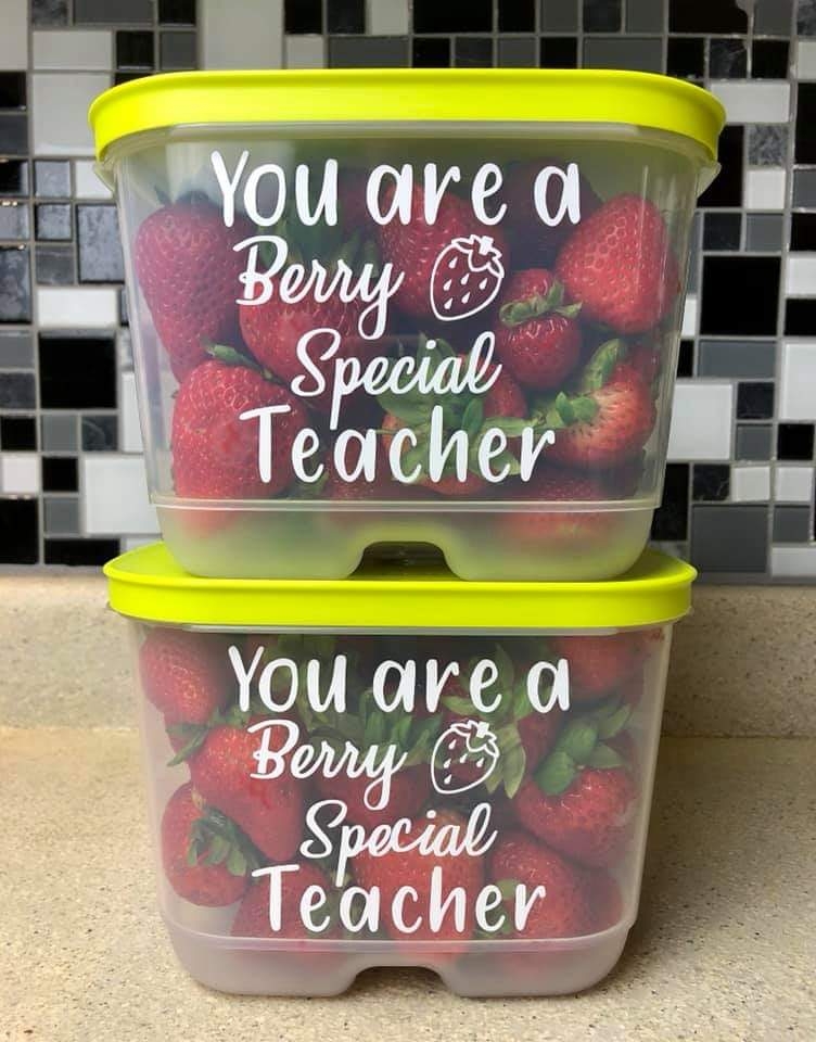 Vinson Tupperware | 164 Gray Crescent, Kanata, ON K2K 3L9, Canada | Phone: (613) 601-0099