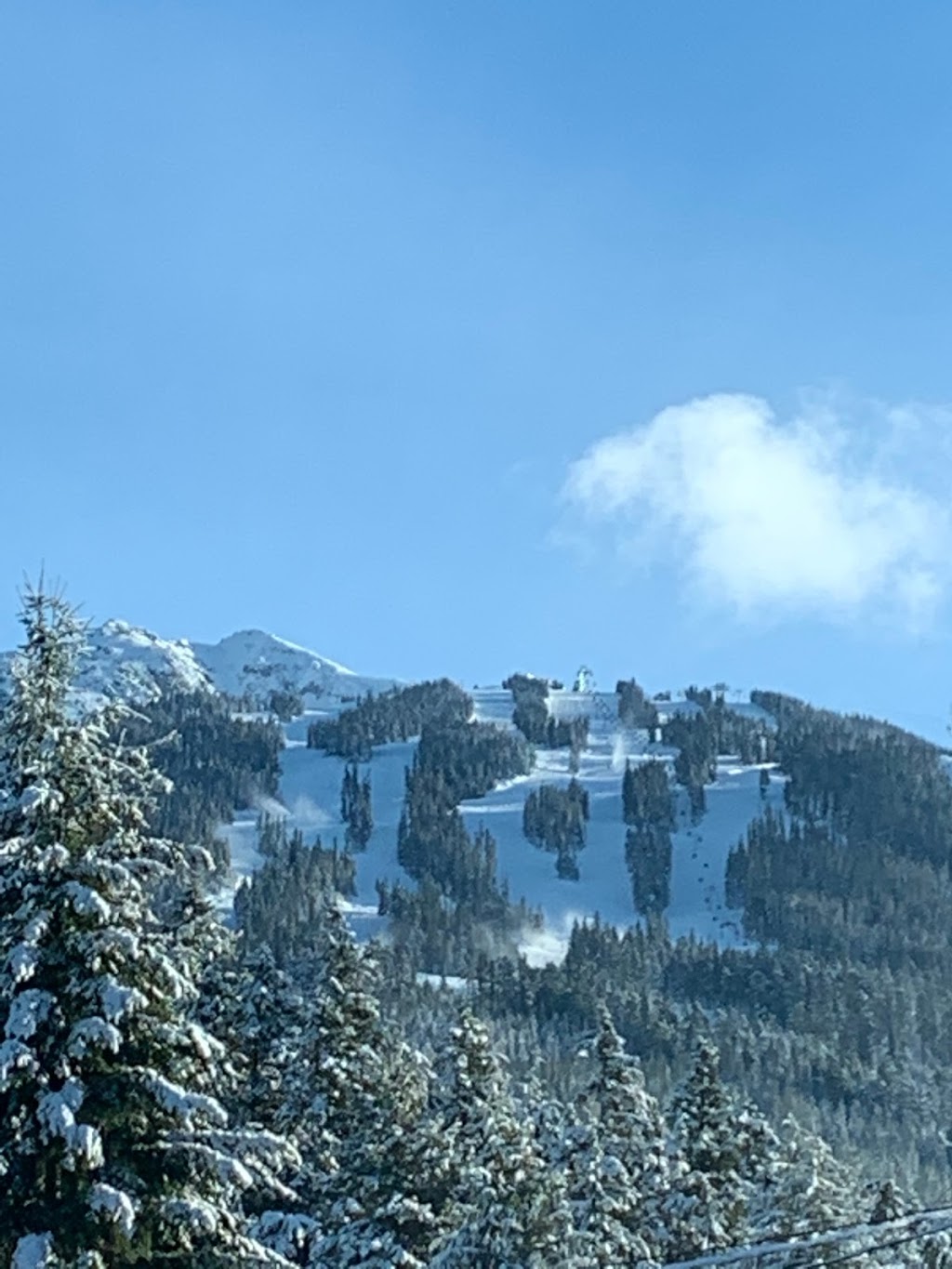 Bear Trail Inn | 7422 Ambassador Crescent, Whistler, BC V8E 0E4, Canada | Phone: (604) 902-2231