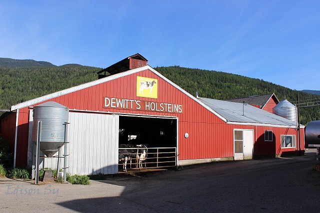 D Dutchmen Dairy Ltd | 1321 Maier Rd, Sicamous, BC V0E 2V1, Canada | Phone: (250) 836-4304