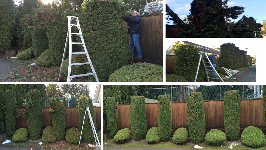 Green Jay Landscaping | 9283 Government St #307, Burnaby, BC V3N 0A5, Canada | Phone: (778) 987-7708