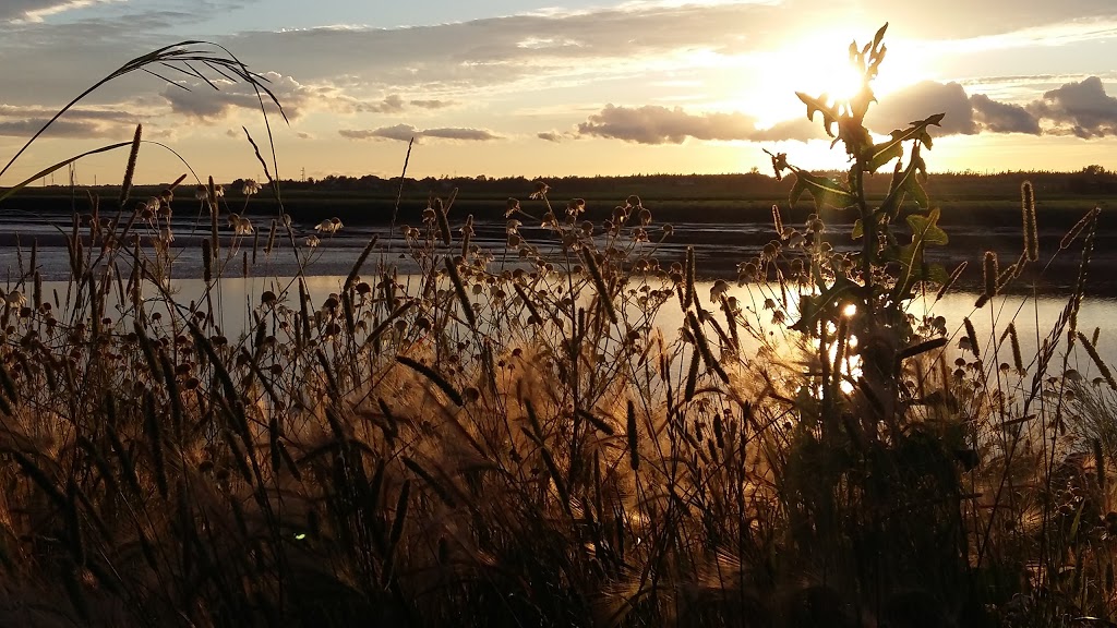 Tidal Bore Inn | 29 Truro Heights Rd, Lower Truro, NS B6L 1W7, Canada | Phone: (902) 895-9241