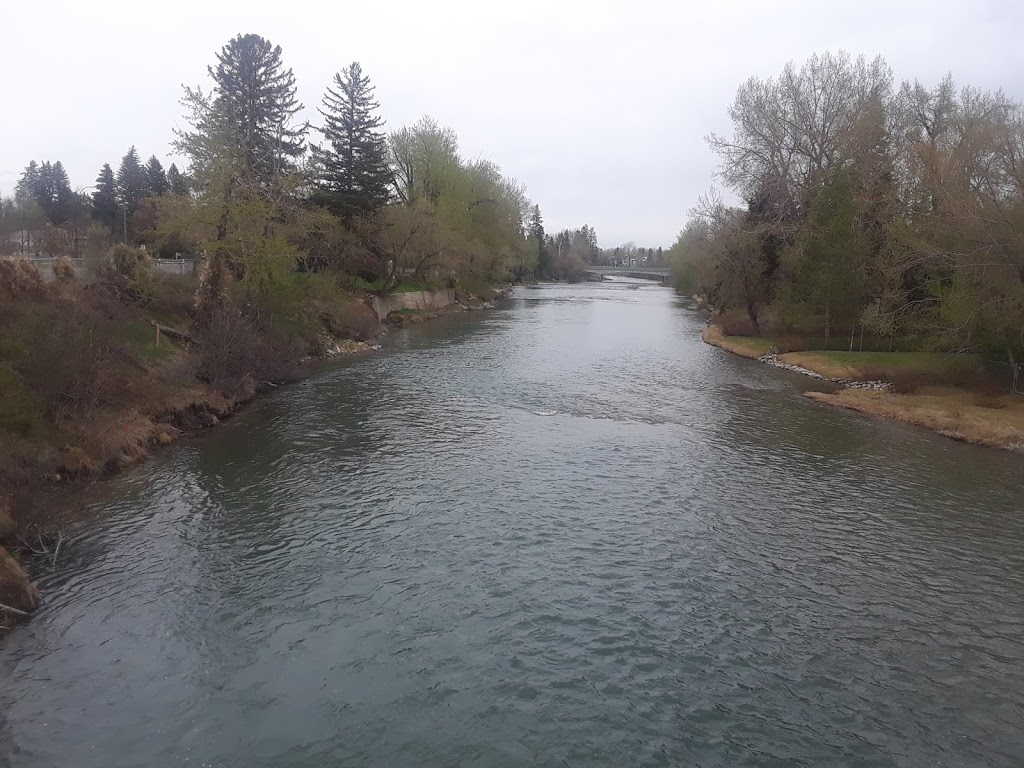 Riverdale Dog Park | 1334 Riverdale Ave SW, Calgary, AB T2S 0Y8, Canada