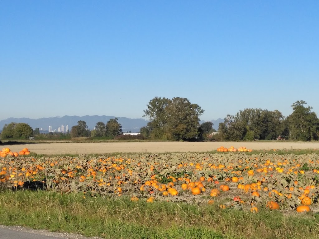 West Coast Horticultural Services | 9480 Finn Rd, Richmond, BC V7A 2L4, Canada | Phone: (604) 271-6520