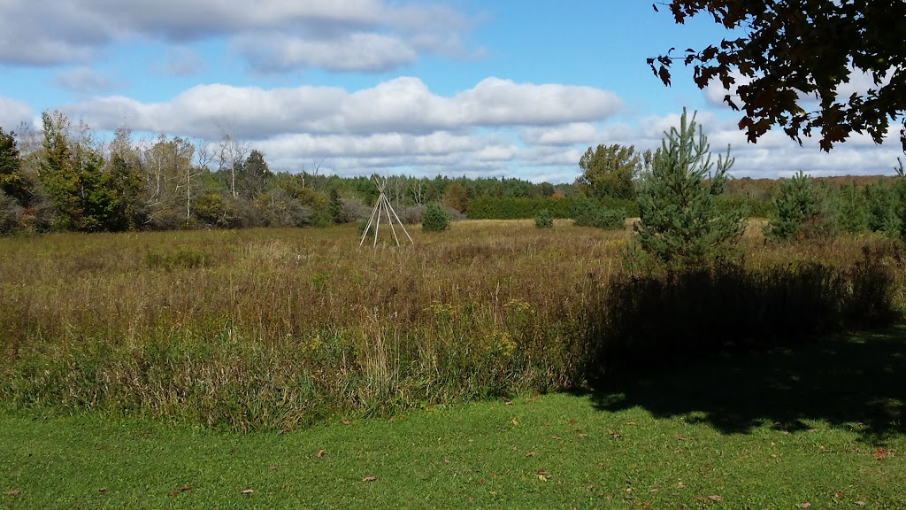 Ziontario Campgrounds | 344516 N Line, Priceville, ON N0C 1K0, Canada