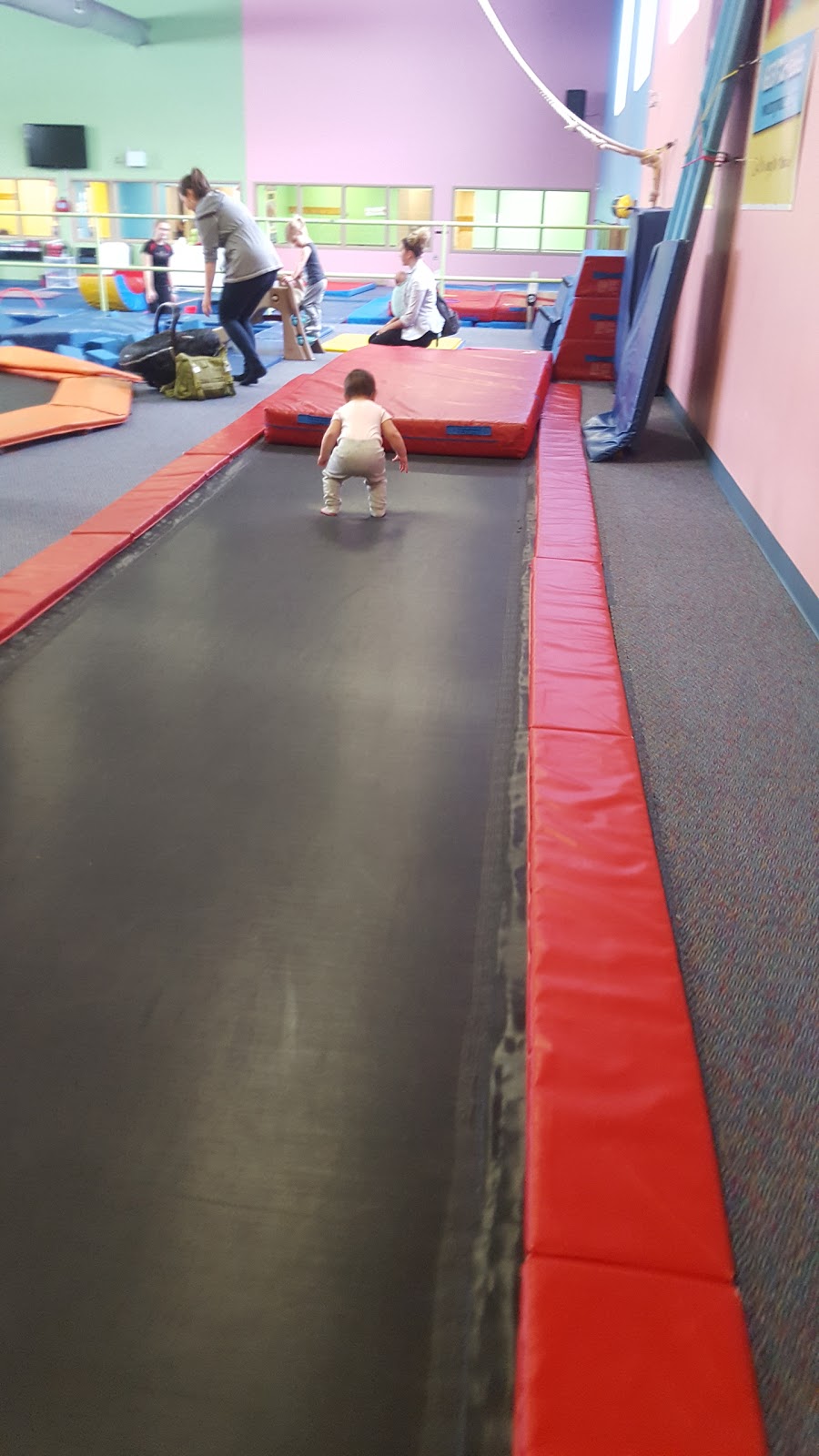 Starr Gymnastics | 520 Lacolle Way, Orléans, ON K4A 0N9, Canada | Phone: (613) 721-4868