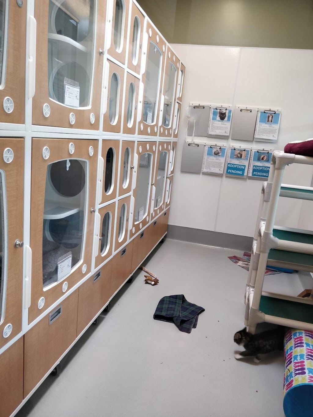 Surrey Animal Resource Centre | 17944 Colebrook Rd, Surrey, BC V3Z 1C1, Canada | Phone: (604) 574-6622