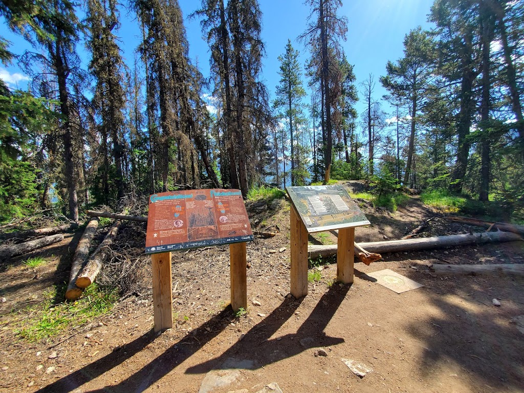 Tunnel Mountain Trail Route | Tunnel Mountain Trail, Improvement District No. 9, AB T0L 0C0, Canada | Phone: (888) 773-8888