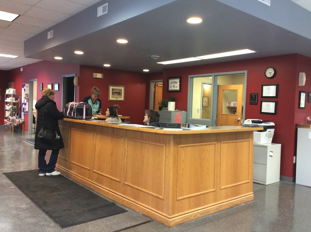 Mitchell Veterinary Services | 243 Ontario Rd, Mitchell, ON N0K 1N0, Canada | Phone: (519) 348-9711