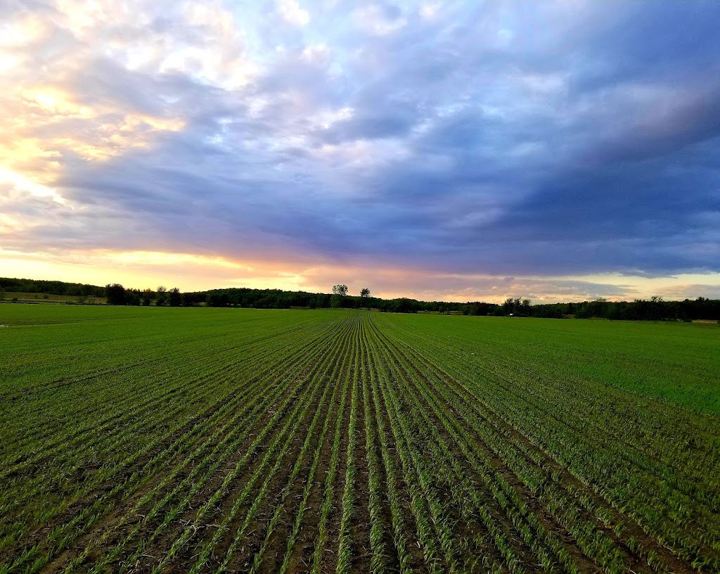 Génération Grains Natures | 1348 8e Rang, Roxton Falls, QC J0H 1E0, Canada | Phone: (450) 548-2334