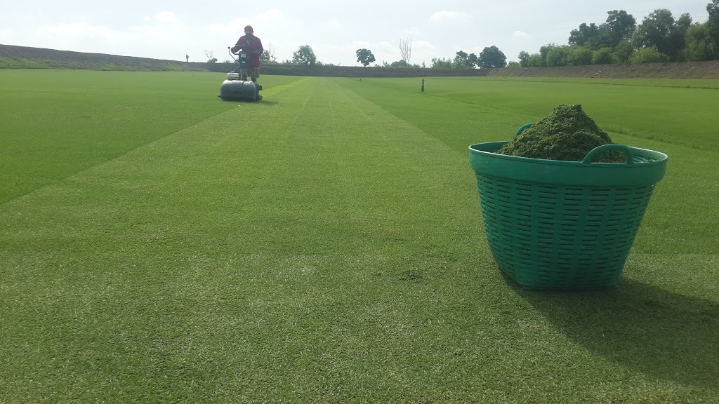 Tee 2 Green Barrie | 610 Huronia Rd Unit 11, Barrie, ON L4N 0W5, Canada | Phone: (705) 728-2073