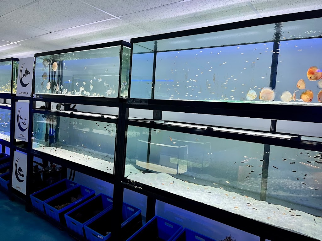 Poseidon Specialised Pet Store | 787 Boul. Louis-XIV, Québec, QC G1H 1A3, Canada | Phone: (418) 623-0821