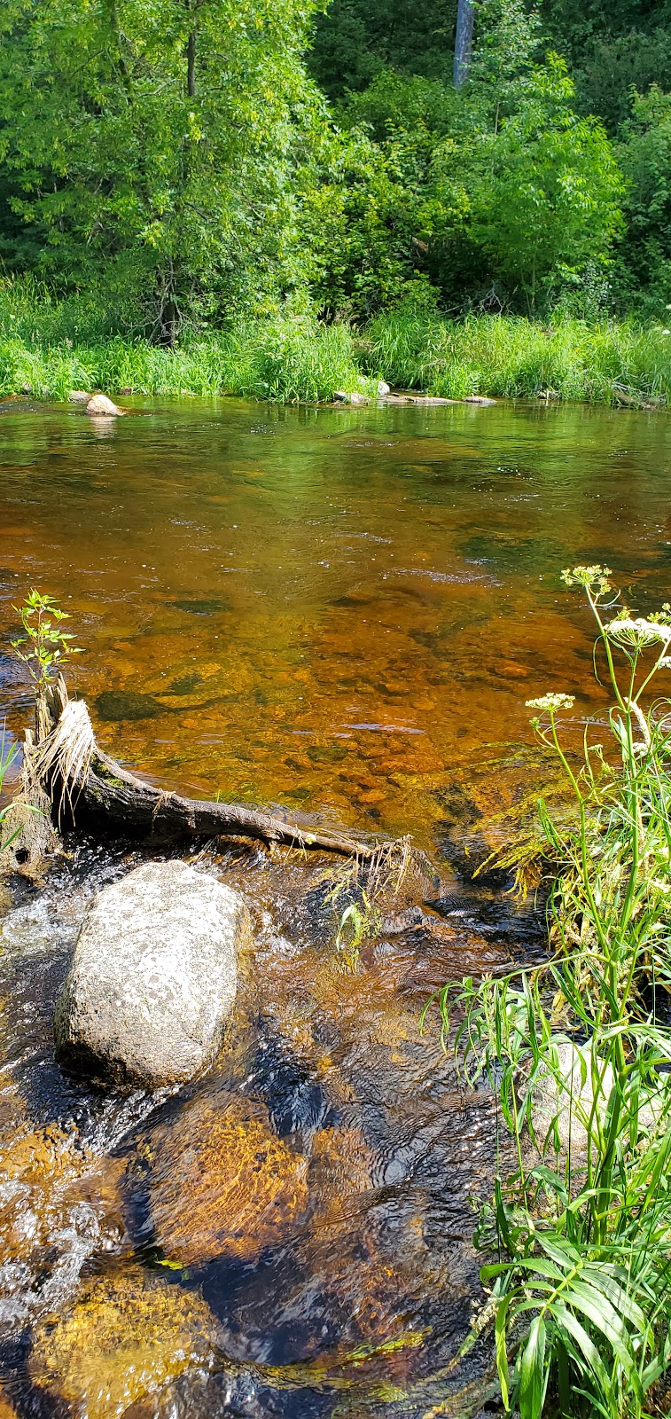 Whiteshell River Self-guiding Trail | MB-312, Whiteshell, MB R0E 2H0, Canada | Phone: (204) 369-3157