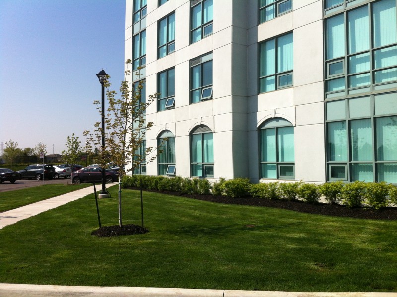 Cedargreen Landscape Contractors Ltd | 6155 Lloydtown-Aurora Rd, Schomberg, ON L0G 1T0, Canada | Phone: (905) 939-3331