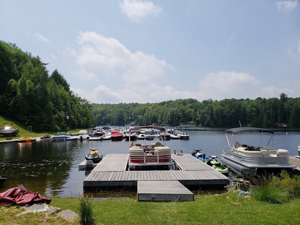 Harpers Marine | 3572 Haliburton County Rd 21, Minden, ON K0M 1S0, Canada | Phone: (705) 457-2282