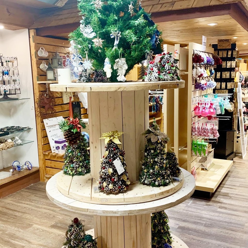 Curious Bear Market-place | 5584 ON-35, Fenelon Falls, ON K0M 1N0, Canada | Phone: (705) 887-2220