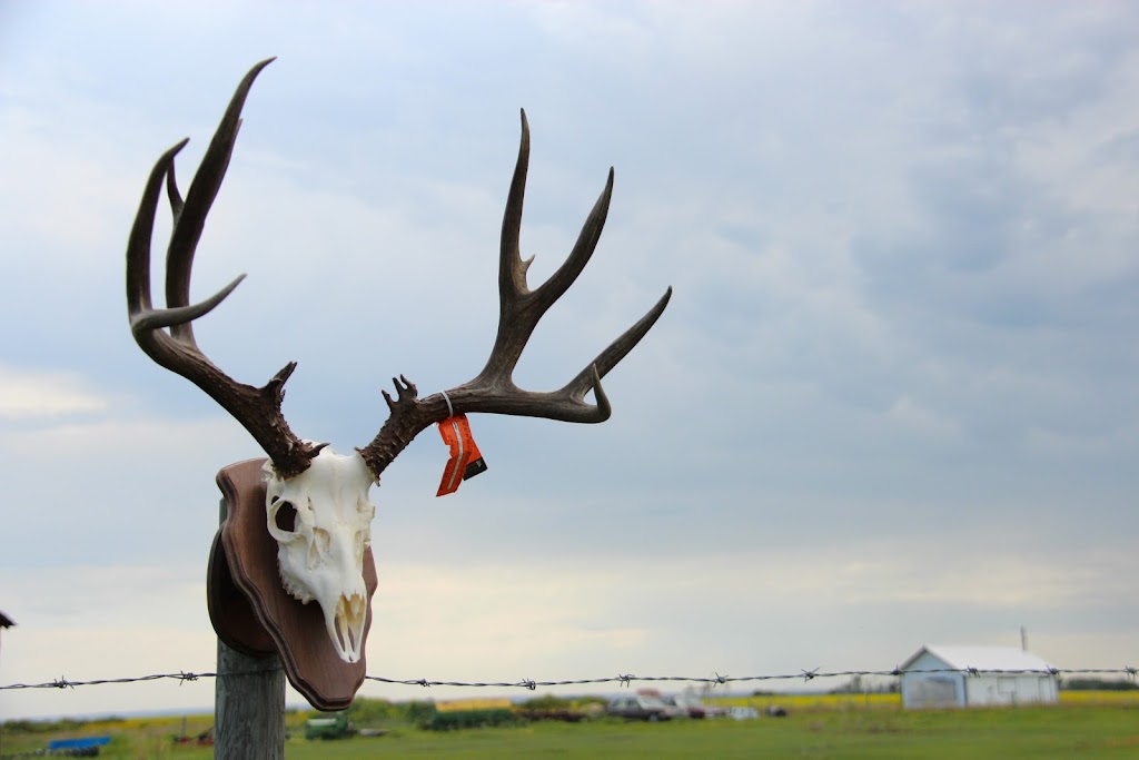 Prairie Flight and Fur Taxidermy | Box 94, Jansen, SK S0K 2B0, Canada | Phone: (306) 365-7721