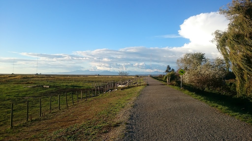 Steveston Stock and Seed Farm | 2871 Steveston Hwy, Richmond, BC V7E 2J1, Canada | Phone: (604) 277-7759