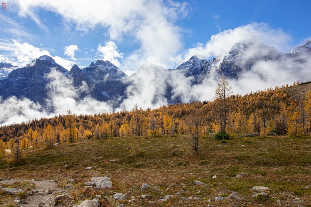 Sentinel Pass | Improvement District No. 9, AB T0L, Canada | Phone: (403) 522-3833