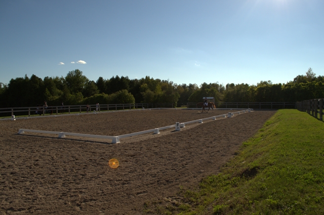 Sunnymead Farm | 1060 Frank Hill Rd, Omemee, ON K0L 2W0, Canada | Phone: (705) 760-5741