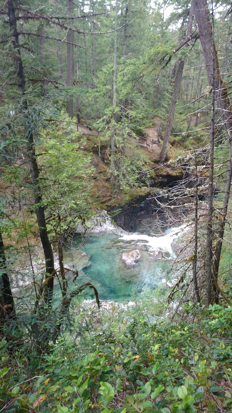 Little Qualicum Falls Trail Local Access | 1430-1556 Meadowood Way, Qualicum Beach, BC V9K 2S3, Canada | Phone: (250) 268-3694