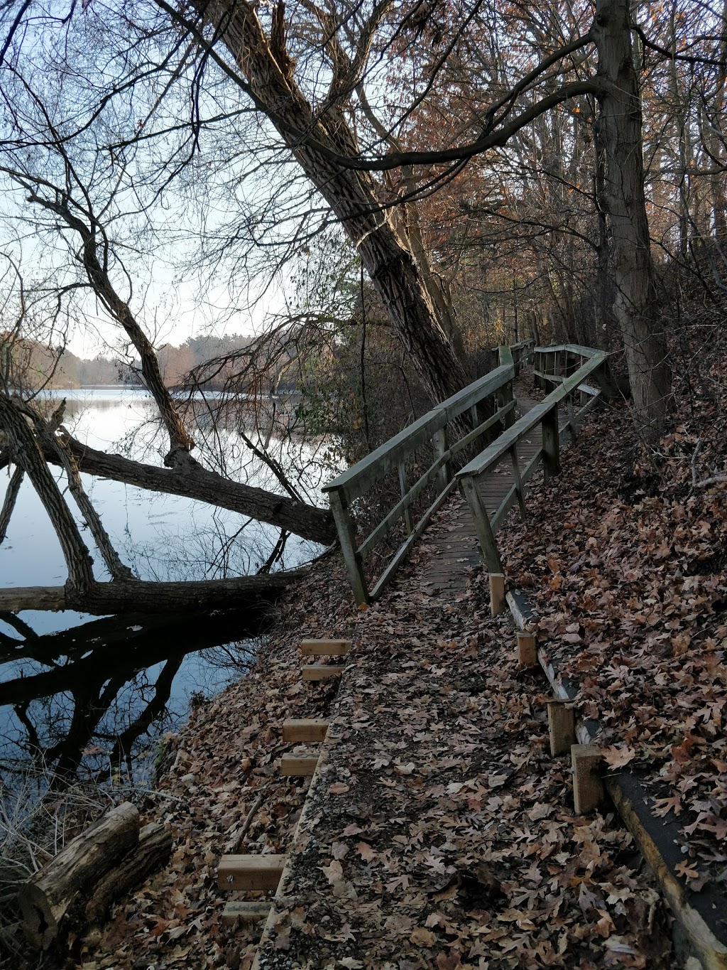 Dorchester Mill Pond EcoTrail | Mill Pond,, Thames Centre, ON N0L 1G2, Canada
