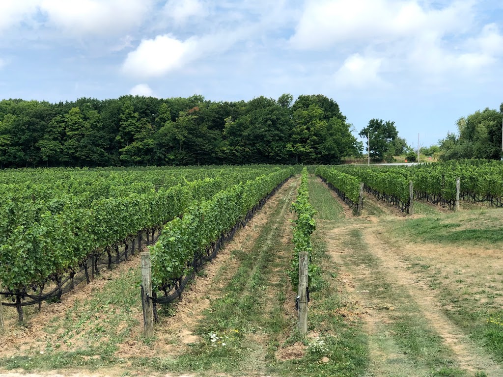 Hidden Bench Estate Winery. | 4152 Locust Ln, Beamsville, ON L0R 1B0, Canada | Phone: (905) 563-8700
