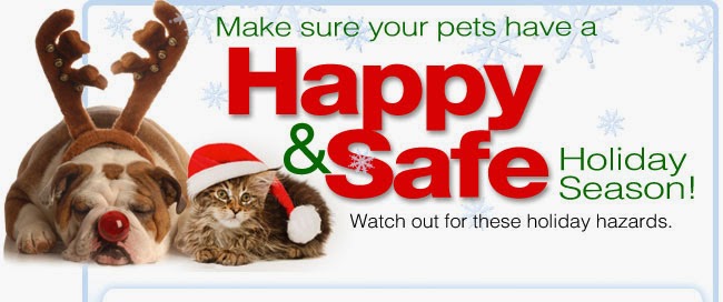Aldergrove Animal Hospital Ltd | 26841 Fraser Hwy, Aldergrove, BC V4W 3E4, Canada | Phone: (604) 856-7707