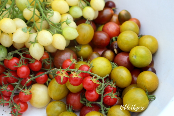 Olde Thyme Food Garden | 2330 Morland Rd, Nanaimo, BC V9X 1J1, Canada