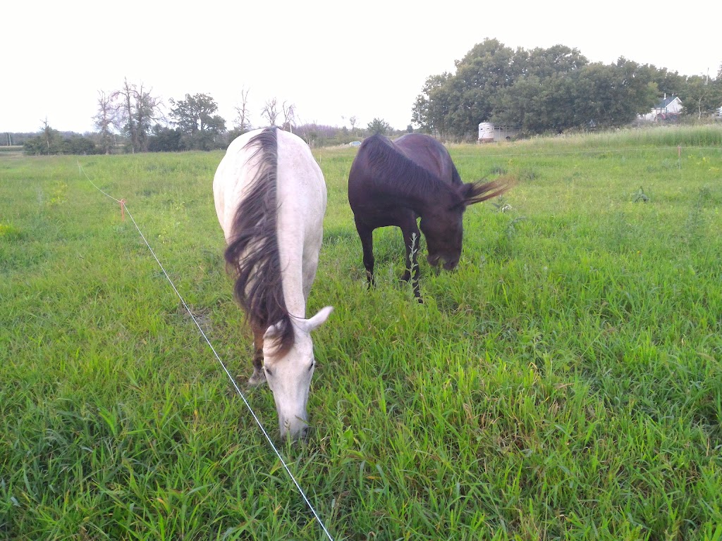 Maple Hill Urban Farm | 200 Moodie Dr, Nepean, ON K2H 8K6, Canada | Phone: (613) 828-2987